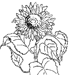 bloem