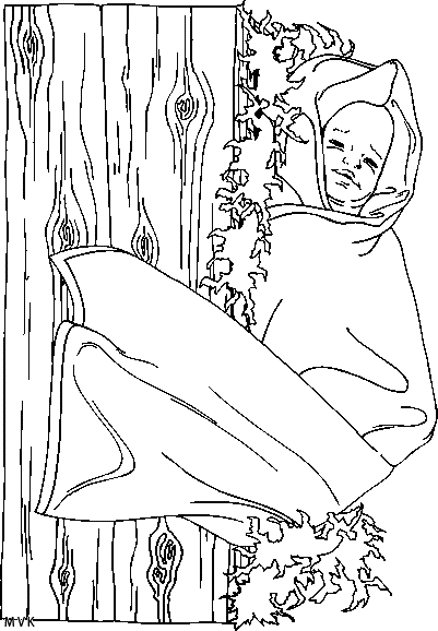 lucas027