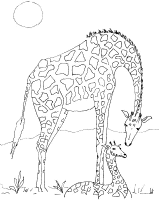 Een kleurplaat van  giraffe