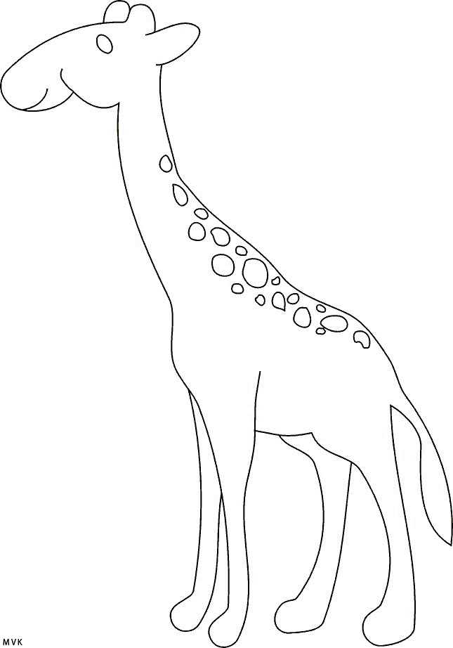 giraffe007