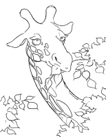 Een kleurplaat van  giraffe
