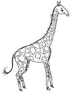 Een kleurplaat van  giraffe