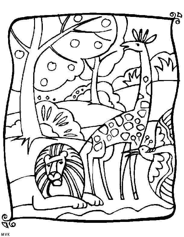 giraffe020