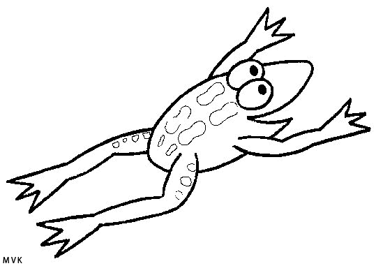 kikker011