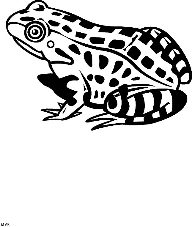 kikker013