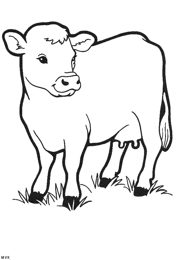 koe013