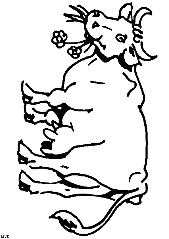 koe016