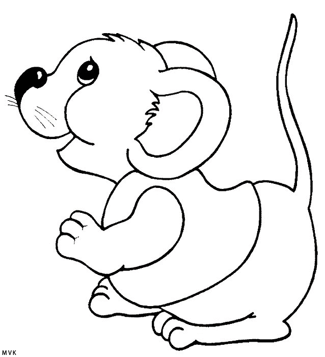 muis004