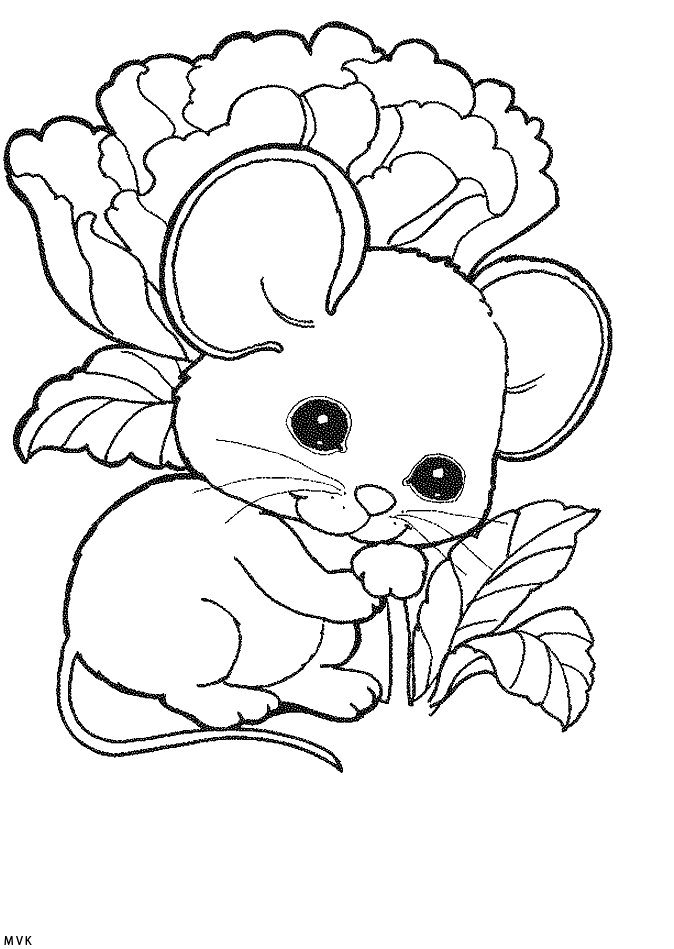 muis005