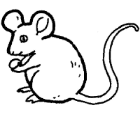 Een kleurplaat van  muis