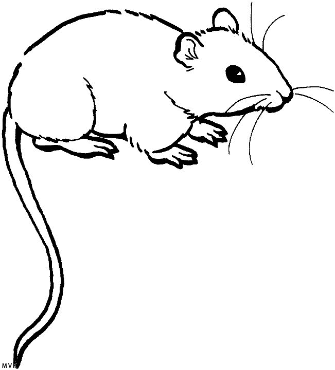 muis023