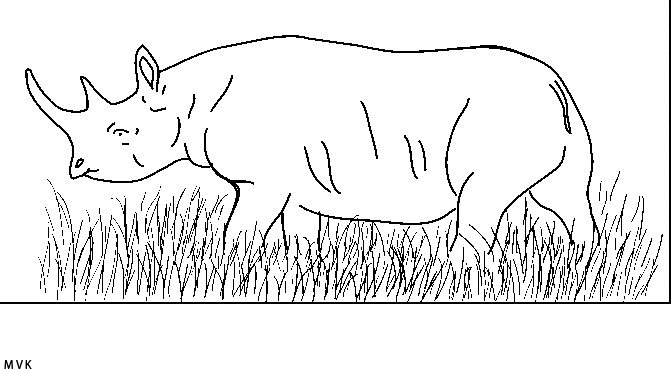 neushoorn002