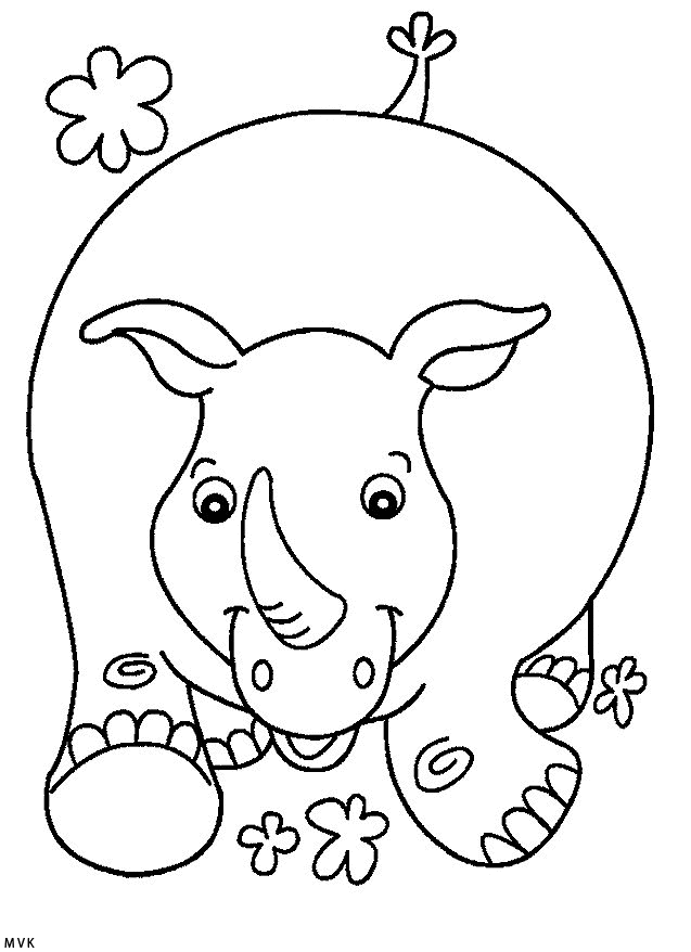 neushoorn003