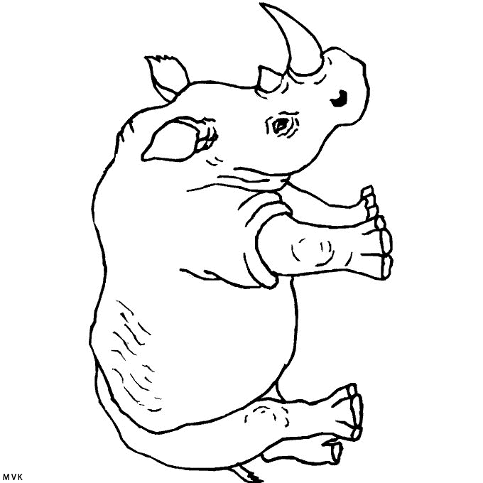 neushoorn006