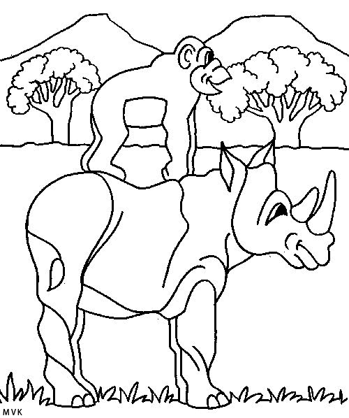neushoorn007