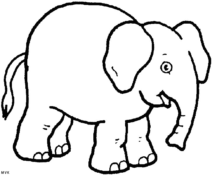 olifant009
