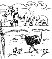 Een kleurplaat van  olifant
