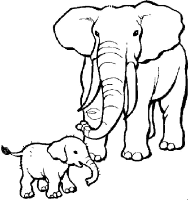Een kleurplaat van  olifant
