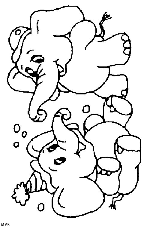 olifant017