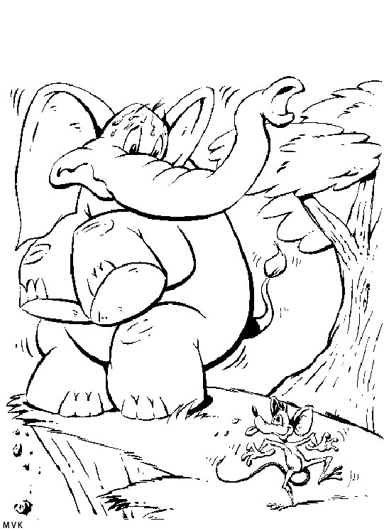 olifant020