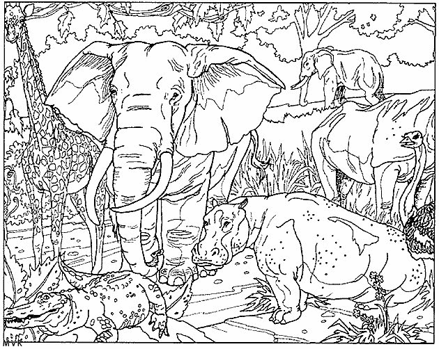 olifant021