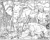 Een kleurplaat van  olifant