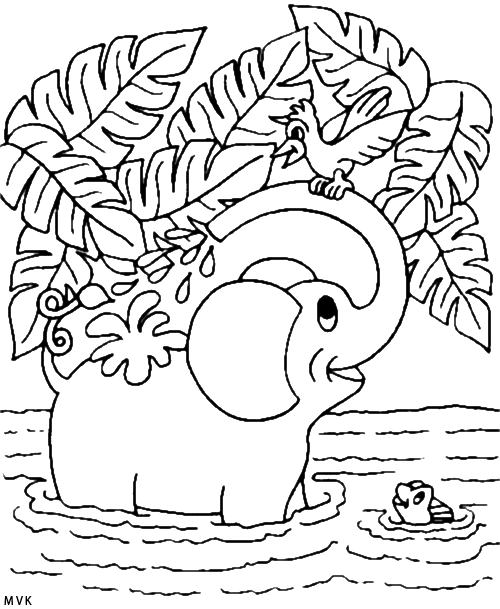 olifant026