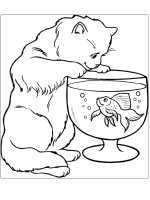 Een kleurplaat van  poes