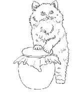 Een kleurplaat van  poes