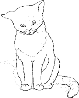Een kleurplaat van  poes