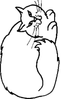 Een kleurplaat van  poes