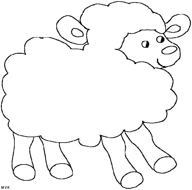 schaap001