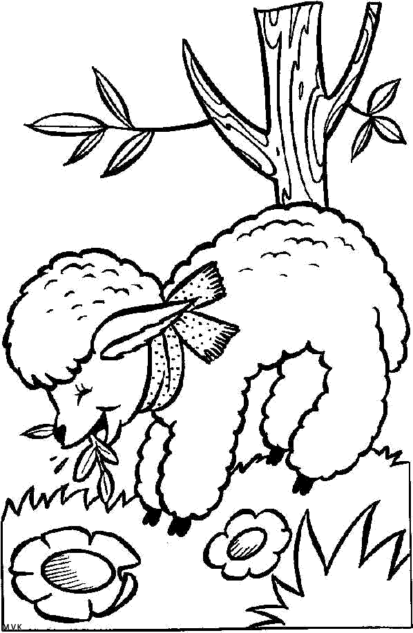 schaap004