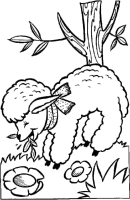 Een kleurplaat van  schaap