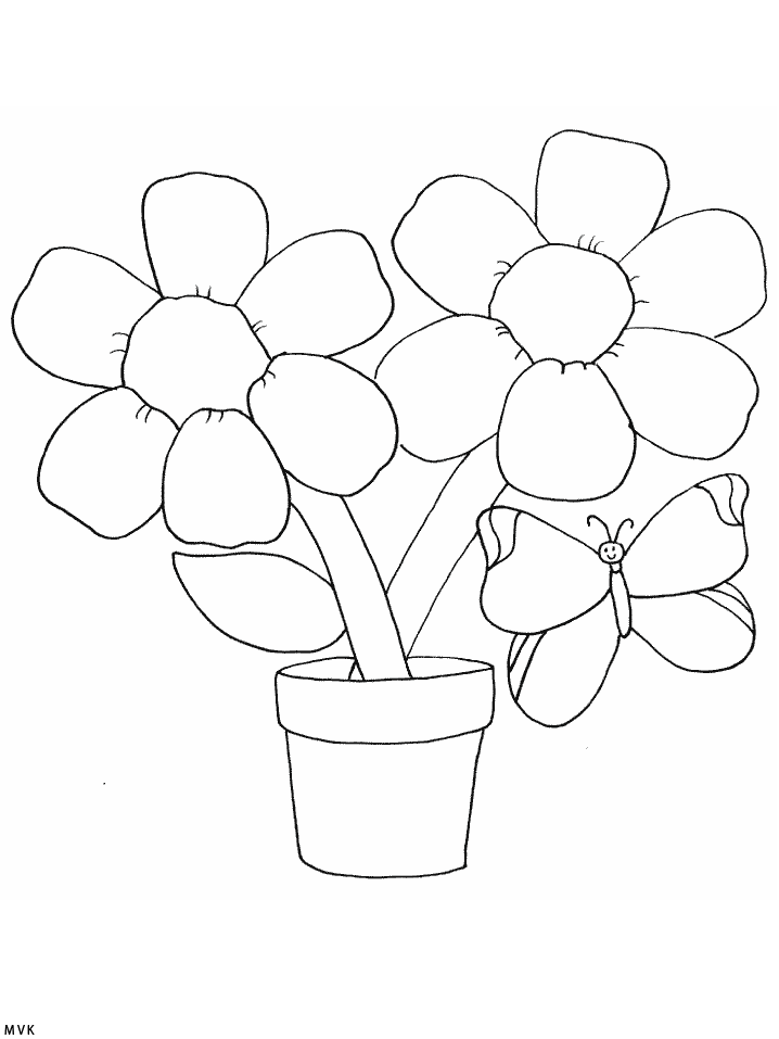 vlinder002