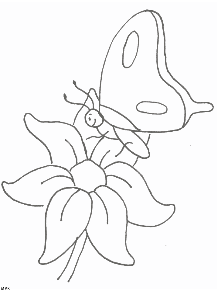 vlinder003