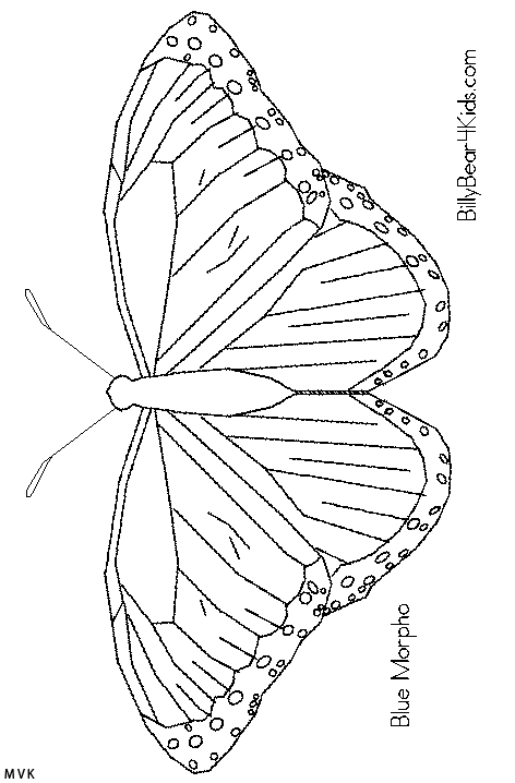vlinder004