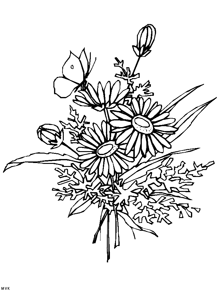 vlinder015