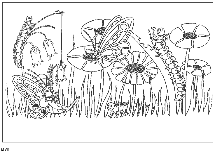 vlinder016
