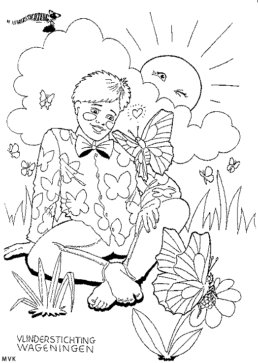 vlinder017