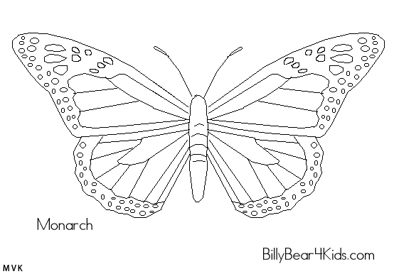 vlinder018