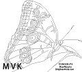 vlinder019