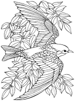 Een kleurplaat van  vogel