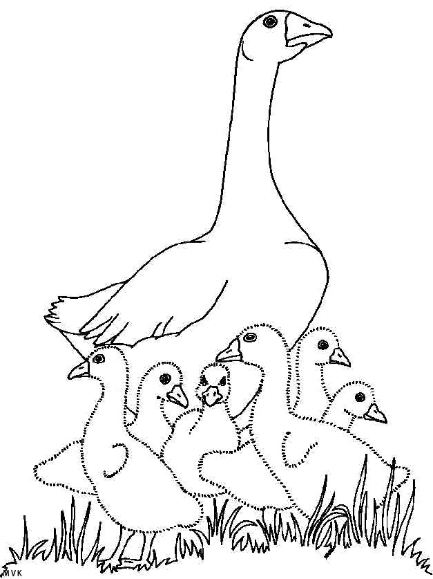 vogel014