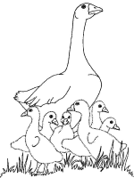 Een kleurplaat van  vogel