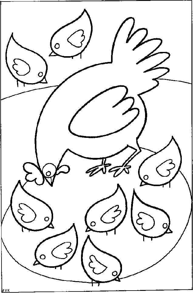 vogel017