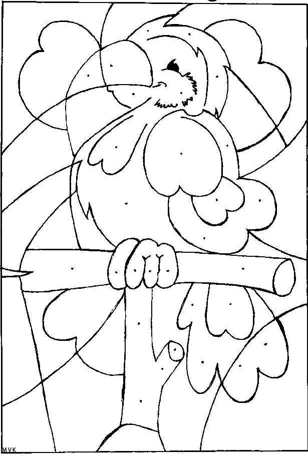 vogel019