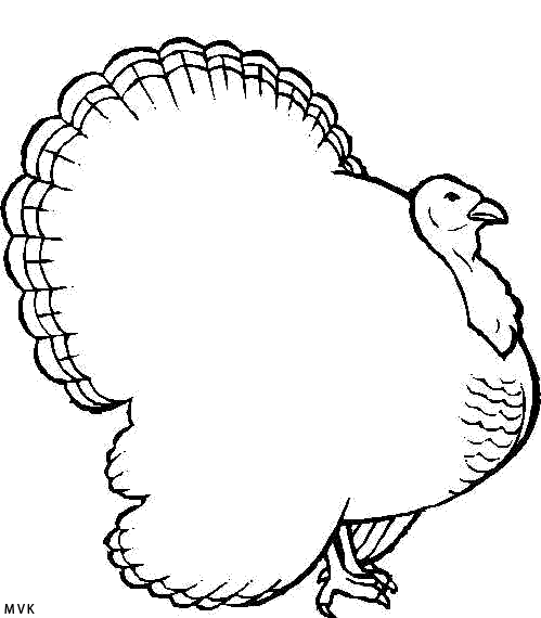 vogel022