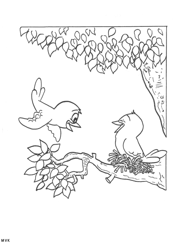 vogel023