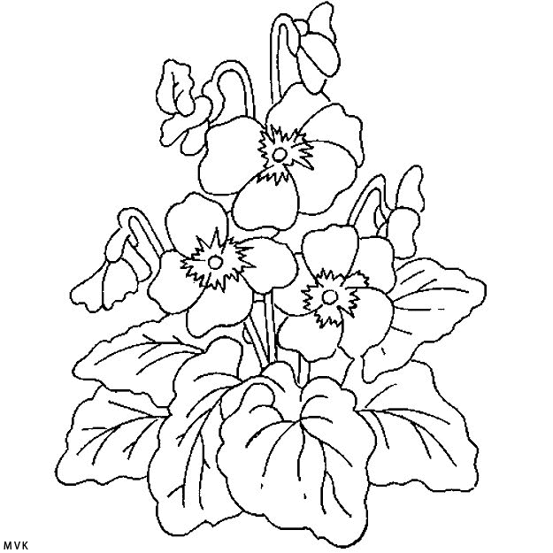 bloem002